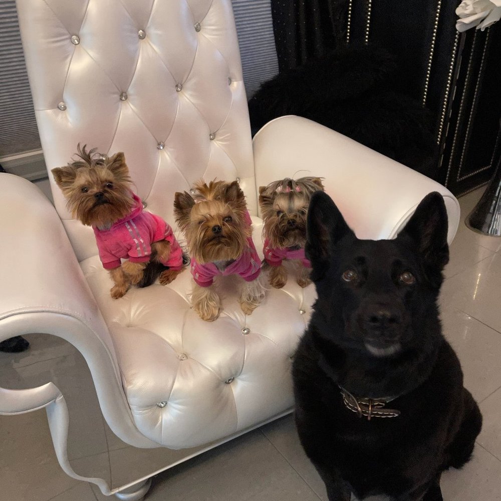 Meet your Posher, Carmen